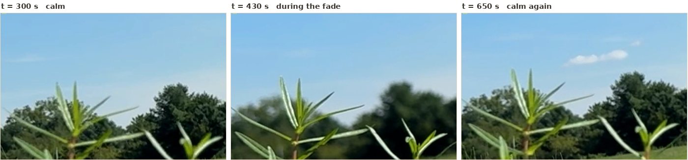 Three crops of the same near reed against the distant treeline. At 300 and 650 seconds the treeline shows leaf structure and the reed is slightly soft. At 430 seconds the reed renders crisply against a treeline that has lost its texture.